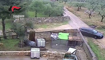 Assalti ai Tir: arrestate 15 persone a Modugno