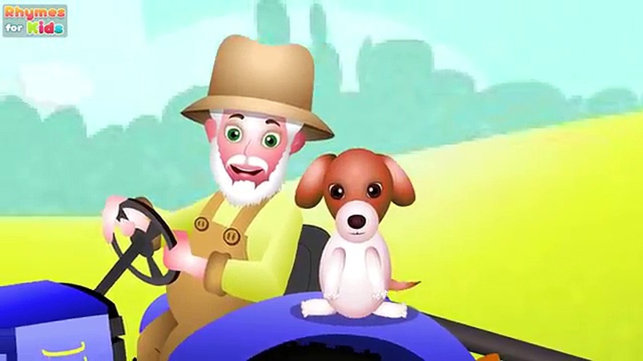 Bingo Dog Song - Nursery Rhyme With Lyrics | Cartoon Animation for Children