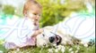 Cute Dog babysitting Dog loves baby when the first time they met
