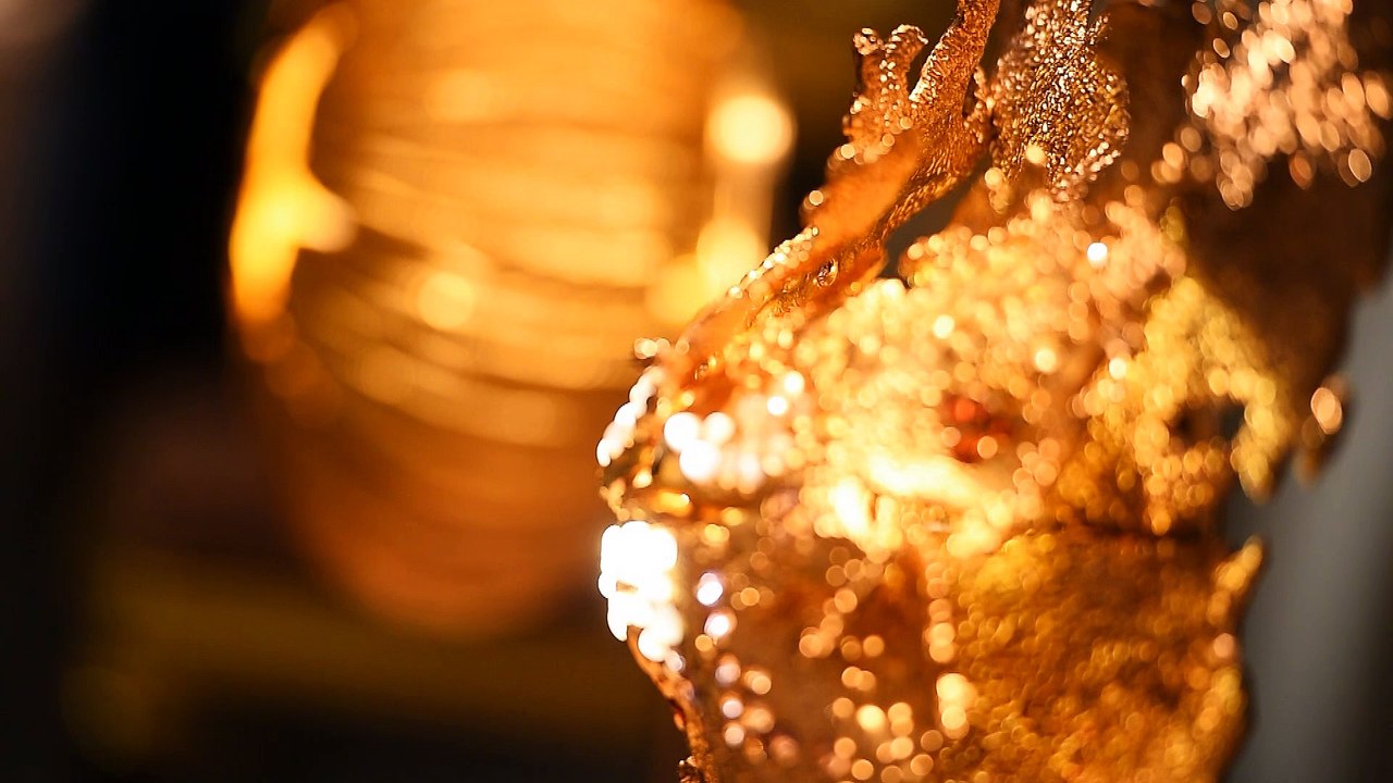 AD Collections 2017 au Musée d'Art moderne de la Ville de Paris