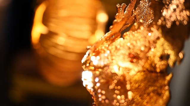 AD Collections 2017 au Musée d'Art moderne de la Ville de Paris