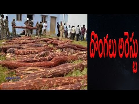 Chittoor District Police Arrested gang of Red Sandalwood Smugglers - Oneindia Telugu