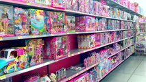 Toy Hunt Cookieswirlc Shopkins Season 2 3 My Little Pony MLP LPS Barbie Doll Disney Frozen