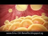 Emu Oil Reviews: How To Cure Acne, Treat Acne, Acne Cream Singapore http://BestDramaTv.Net