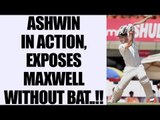 India vs Australia 4th Test: R Ashwin gets Glenn Maxwell lbw in 2nd innings | Oneindia News