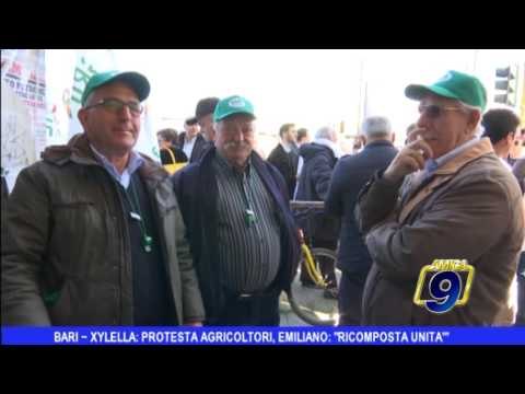 Bari | Xylella: prima la protesta degli agricoltori poi l'incontro con Emiliano