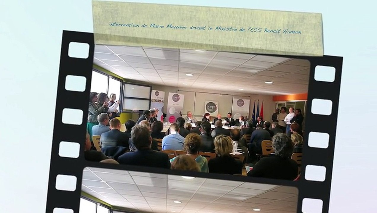 Marie MEUNIER est élue Conseillère régionale en 2016 pour la Région Languedoc Roussillon Midi Pyrénnées au sein du Group