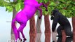 Мультфильм Коллекция Цвет корова для Дети обучение питомник рифмы Песня Colourfull ||