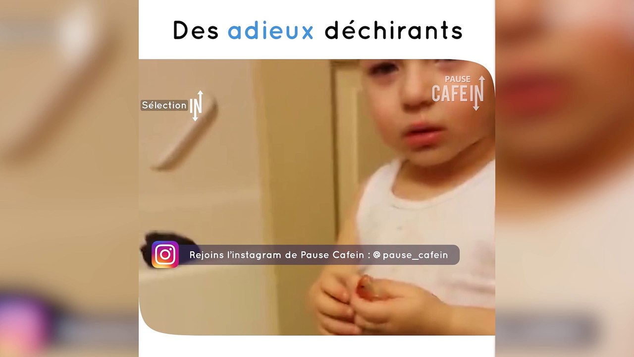 La fin d'une amitié entre un petit garçon et son poisson rouge : déchirant