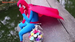 Spiderman vs Elsa Frozen vs Kingkong Infection Fun Superhero In Real Life