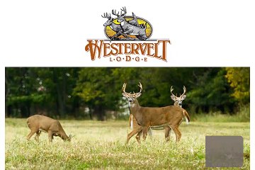 HUNTING ACCOMMODATIONS AT WESTERVELT LODGE