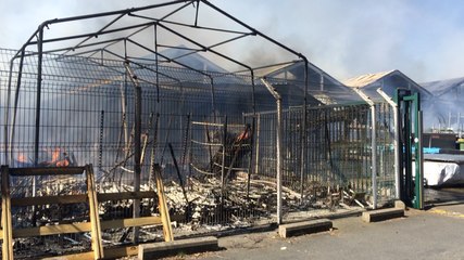 Incendie au magasin Truffaut