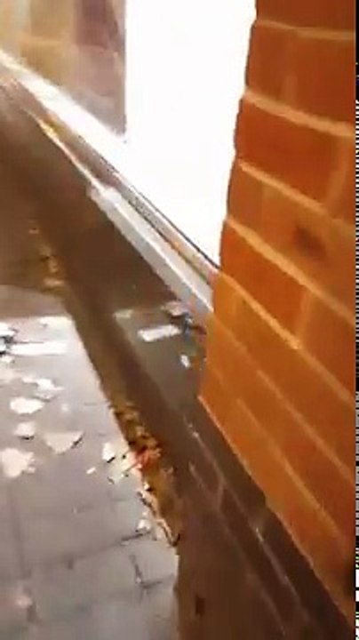 Rato "desfila" em loja da Primark!