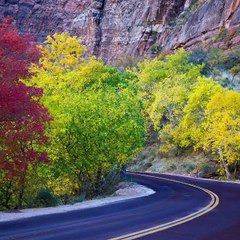 Best Nature Photos - Kindly Rate This Video - Exploring Beauty