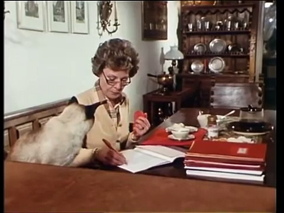 Der Alte  E41 - Mord nach Plan