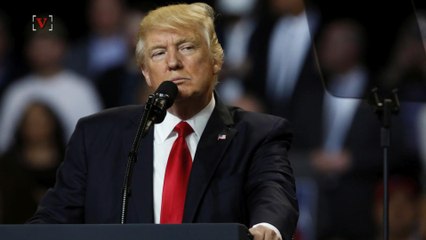 Polls Show Americans Want Investigations Into Trump and Russia