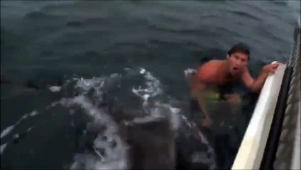 Ce nageur se fait attaquer par un requin ... Chaud