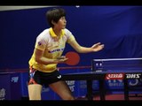 Women´s World Cup 2013 Highlights: Liu Shiwen vs Seok Hajung (Qual. Groups)