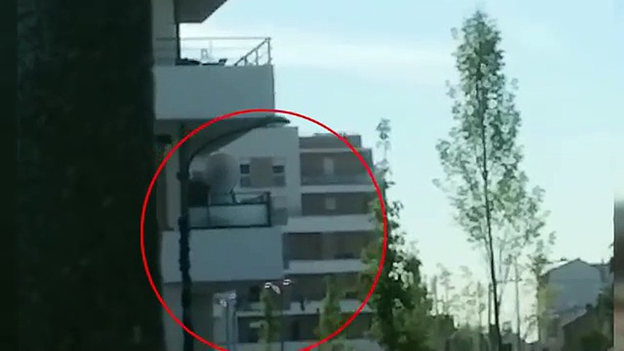 Un homme prit en flagrant délit de maltraitance sur son chien