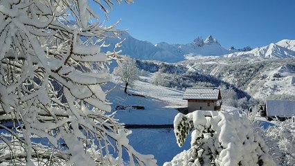 les aiguilles sous la neige