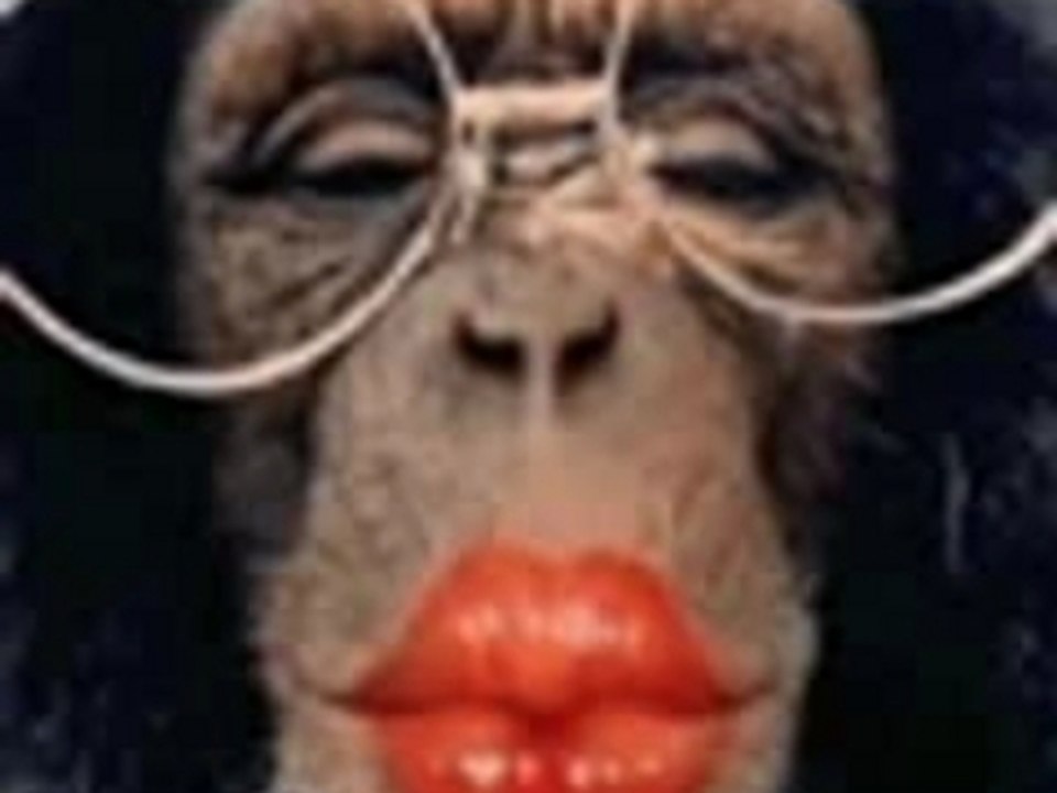 Singe