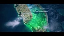 The Balance: Orvis Video Shows Why We Must Act Now to Save the Everglades | The Orvis Company