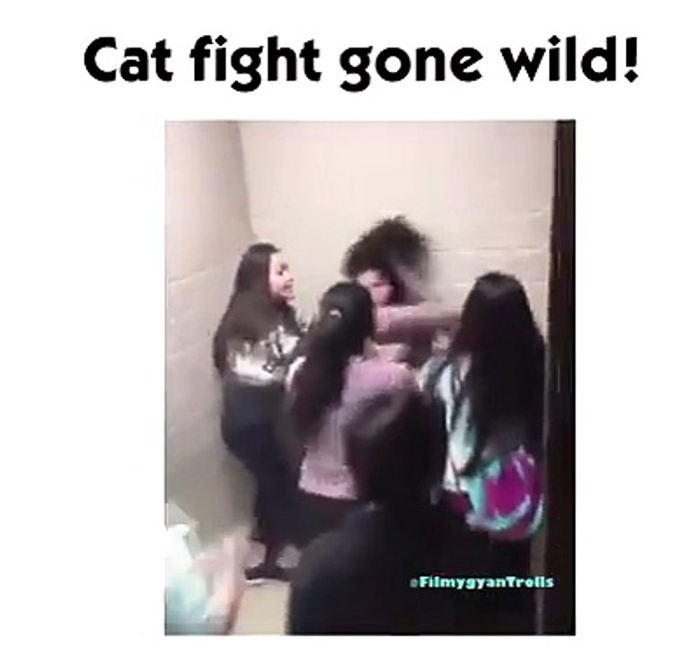Cat Fight Gone Wild