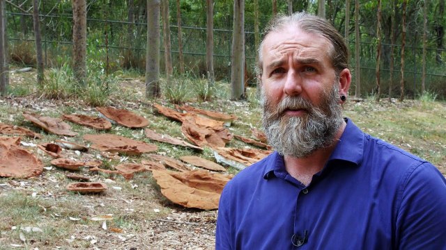 Hallan 21 tipos de huellas de dinosaurio en Australia