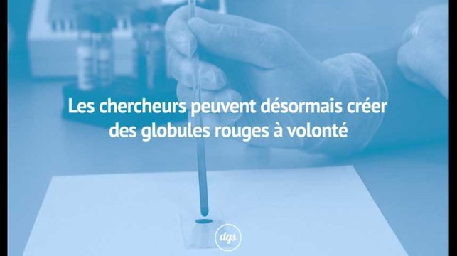 Grâce à des cellules souches, il est désormais possible de produire des globules rouges à volonté