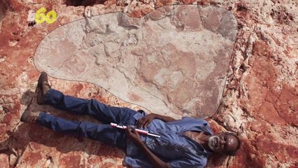 World’s Biggest Dinosaur Footprint Found in Australia