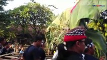 Banser NU dan Pecalang Bersatu Amankan Arakan Ogoh-Ogoh di Buleleng