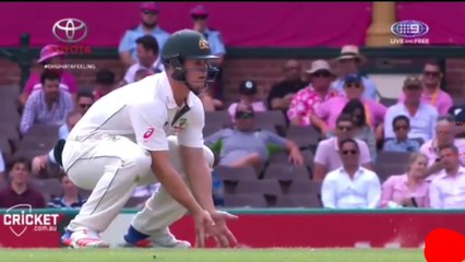 Cricket oops and ouch moment