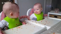 Twin babies enjoy 'chatting' over a meal
