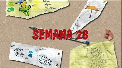 MÉTODO DOMAN: CÓMO ENSEÑAR A LEER A SU BEBÉ. HOW TO TEACH YOUR BABY TO READ. SEMANA 28. PRIMER AÑO.