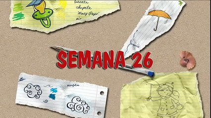 MÉTODO DOMAN: CÓMO ENSEÑAR A LEER A SU BEBÉ. HOW TO TEACH YOUR BABY TO READ. SEMANA 26. PRIMER AÑO.