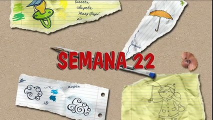 MÉTODO DOMAN: CÓMO ENSEÑAR A LEER A SU BEBÉ. SEMANA 22. PRIMER AÑO.