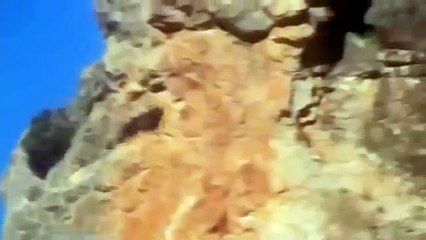 [MP4 360p] Trending and viral Animal Videos_ Eagle hunting deer an amazing way