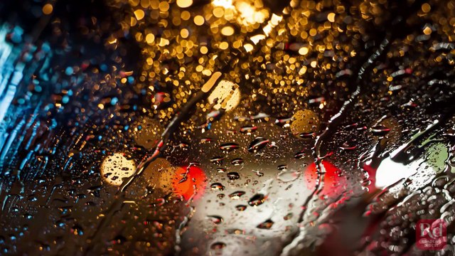 Things a Burglar Wont Tell You