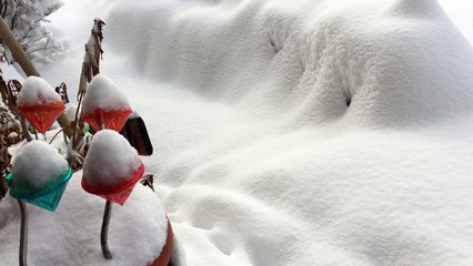 Retour d'Est ce dernier week-end de mars 2017