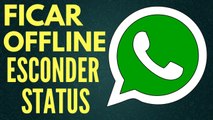 Como ficar offline no whatsapp e responder mensagens