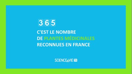 Les plantes qui soignent, à lire dans Science et Vie n°1195