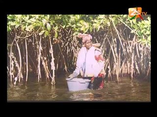 XIBAAR YI 19H DU 19 mars 15