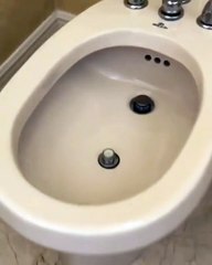 Rapero americano muestra su papel de baño y calienta las redes