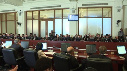 Venezuela acusa de injerencia a “facción minoritaria” en OEA