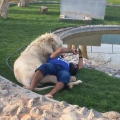 Guy takes selfie while cuddling with lion