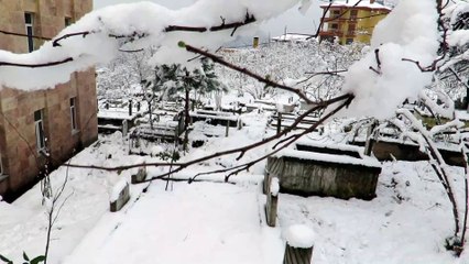 Yiğitözü Köyü Cami Mezarlığı (Trabzon Araklı Zanike)