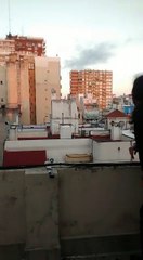 Solo Tiran Piedras