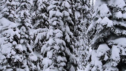 How to Shifty Backside 180 on a Snowboard