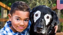 Pertemuan mengharukan anak dan anjing dengan kondisi kulit vertiligo - Tomonews