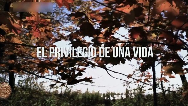 Carl Jung- ' El Sentido de la Vida'